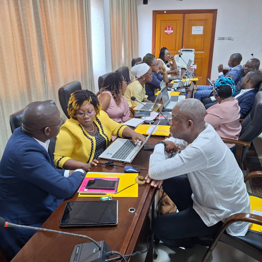 Bénin/Cour constitutionnelle un plan stratégique à l’horizon 2029 pour renforcer la visibilité et l’efficacité de l’institution